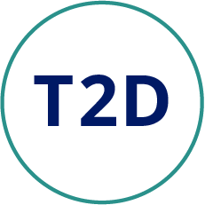 Type 2 Diabetes Icon