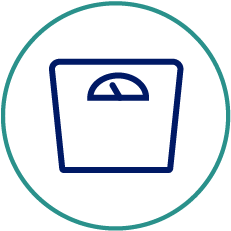 Scale icon